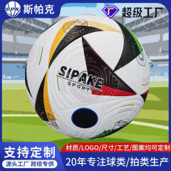 プレミアリーグ・ヨーロッパカップと同じスタイルのPU耐摩耗性5号サッカーボール、ミシン縫いPVC耐摩耗性屋外専用高校受験用サッカーボール