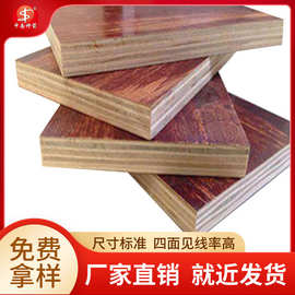 建筑模板价格 中高层房建用 耐磨耐腐蚀 周转多