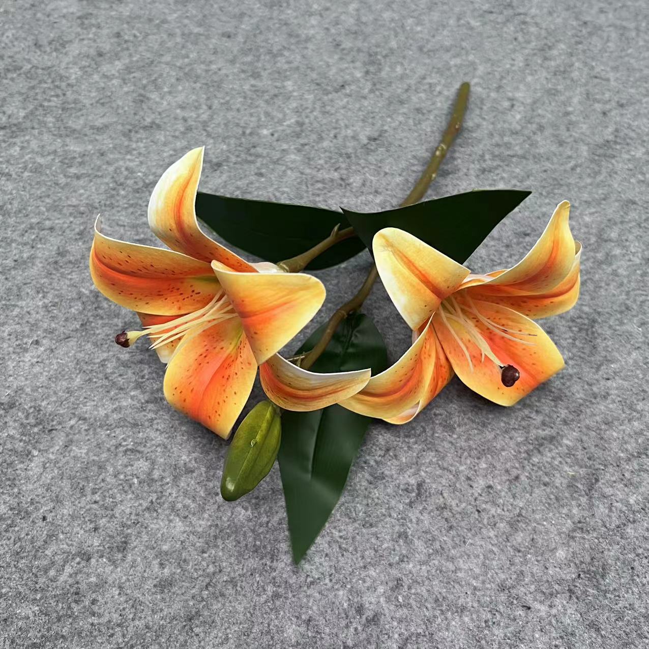 3D 릴리 오렌지