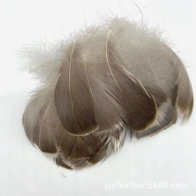 厂家现货批发灰鸭羽毛 灰鸭毛鹅毛捕梦网手工艺品饰品配饰材料