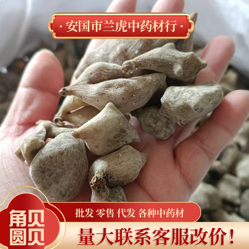五倍子中药材500g角倍圆倍五倍子粉百虫仓百药煎棓子花贝独五倍子