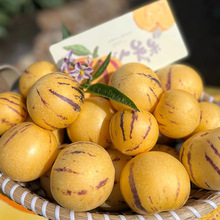 云南风化石树上熟人参果清甜多汁当季新鲜水果现摘现发整箱5斤装