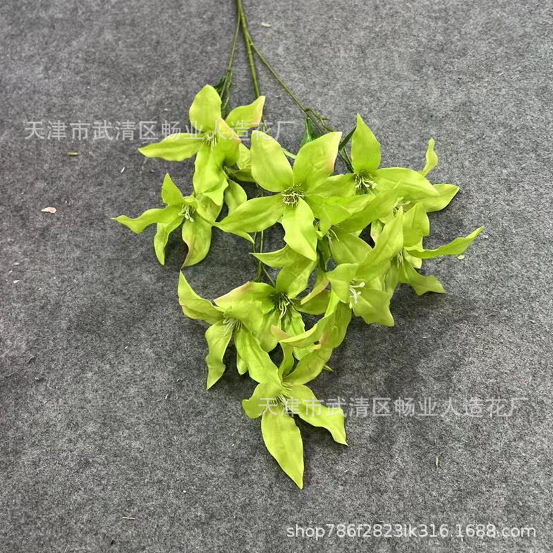 12 헤드 갈랜드 릴리 그린