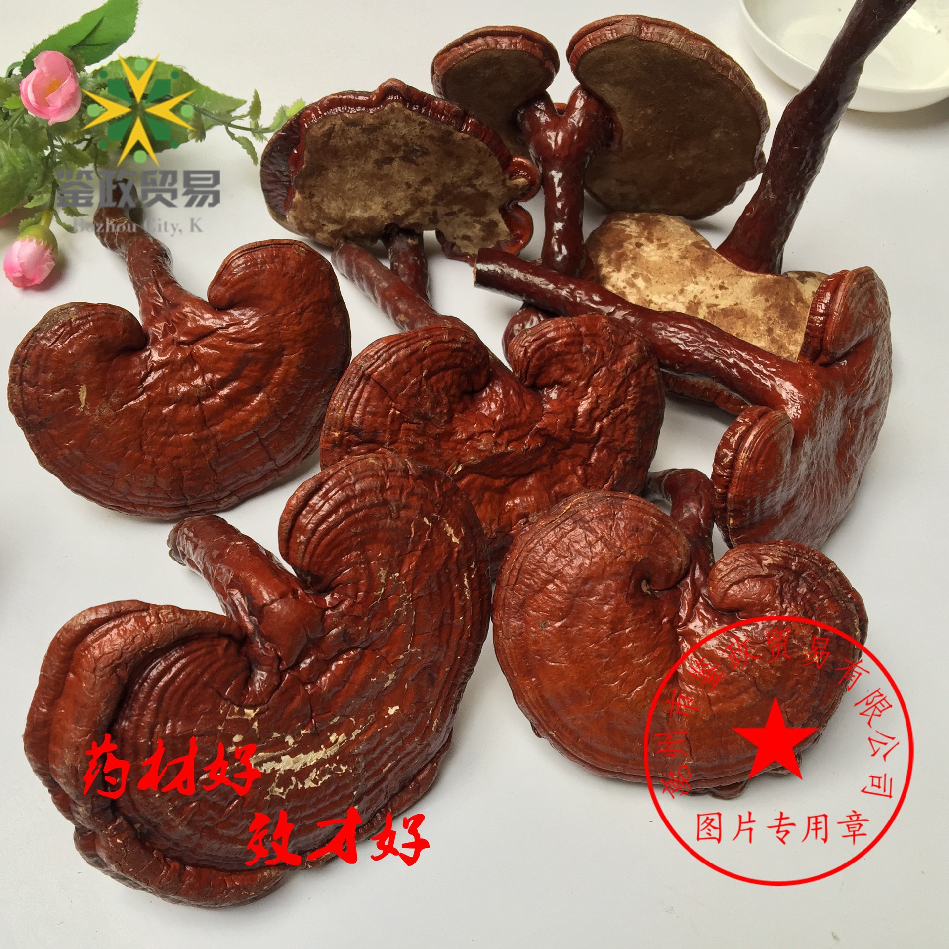 Dried Red Reishi Mushroom Whole Ling Zhi Ganoderma lucidum Traditional Herbal Tea and Decoction Herb 500g specifications
