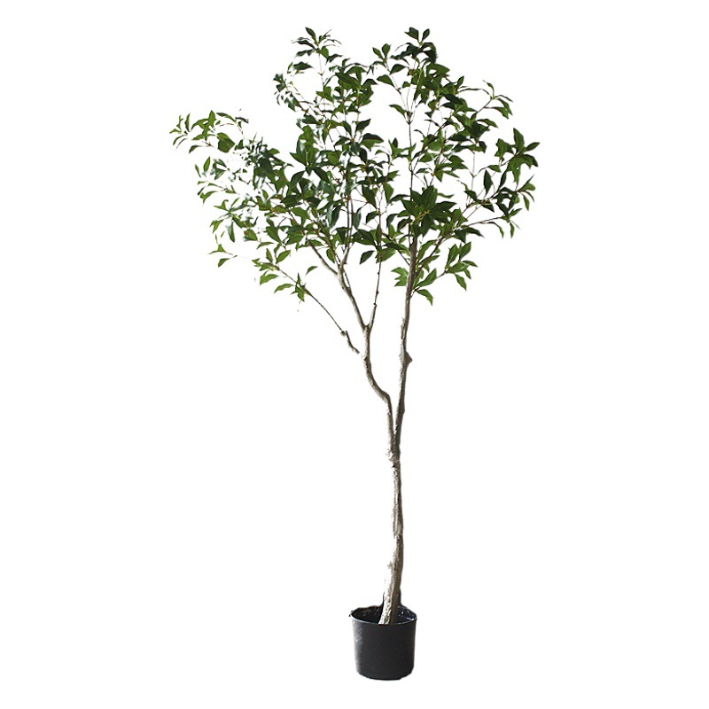 Chino-japonés ropa hotel sala de estar ventana piso floral paisaje planta verde traje de plástico simulación borracho madera