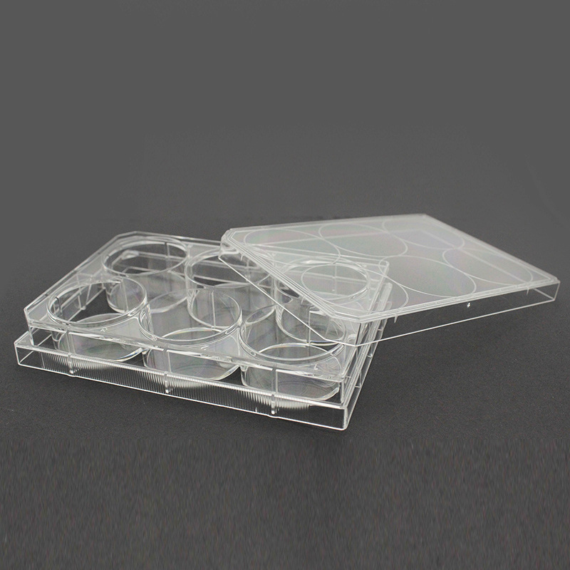 芯硅谷多孔细胞培养板 C1623 细胞培养板,聚苯乙烯,6/12/24/96孔