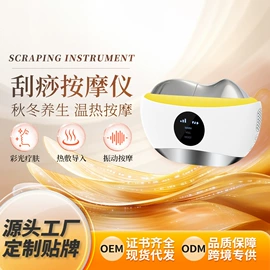 电子美容仪;美颈仪;生发仪、护发仪