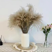 ��Ȼ�JȔ�ɻ������������m�������͏d�b�����[�Ż�c�廨�w֮��