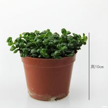 ���^�^�~С�~�_�h�Ʉ���С��������Ҭ����βާ��ˮ�����������