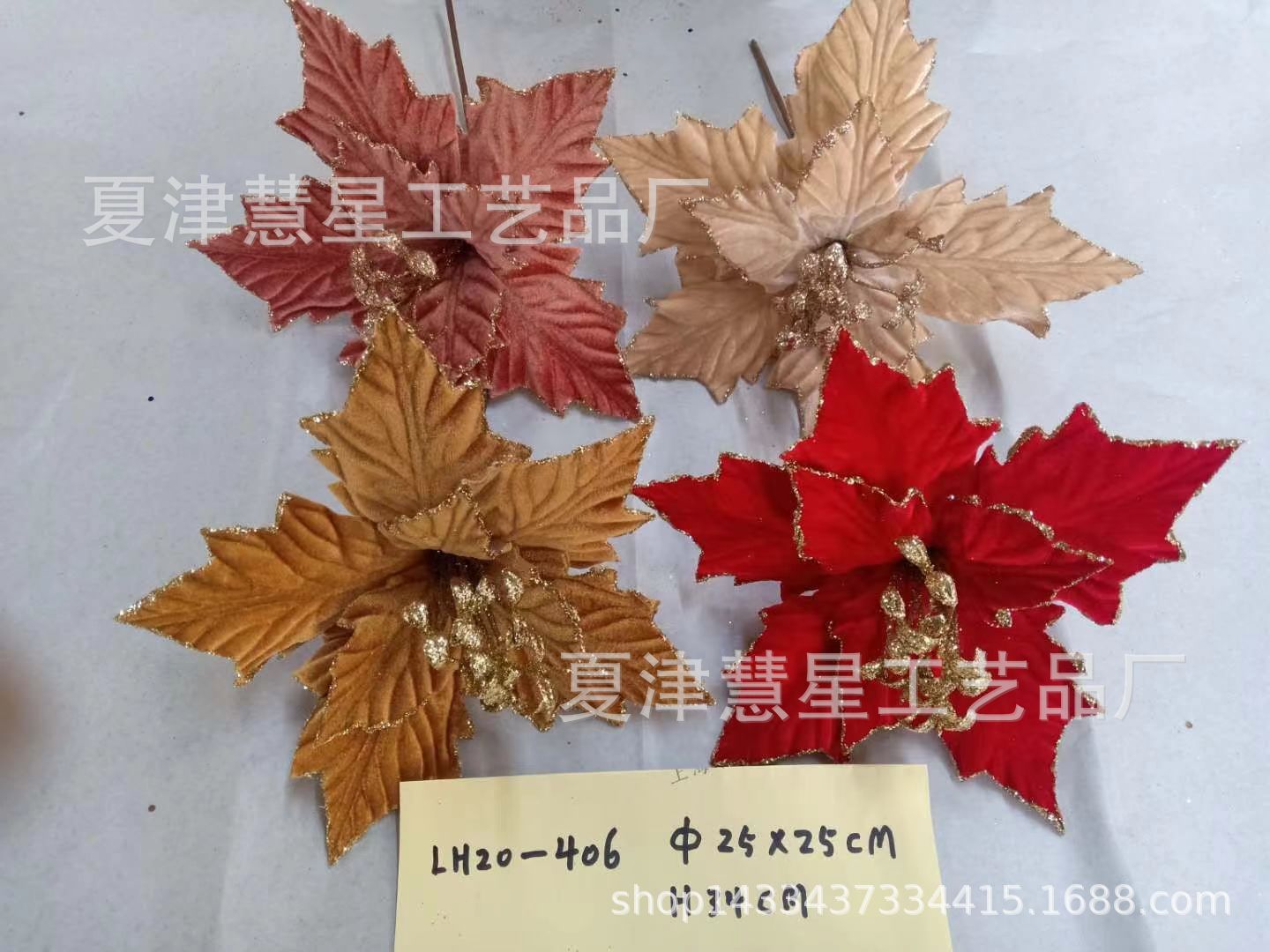 mmexport1677045405225