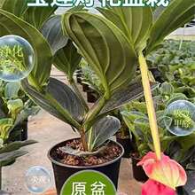 ��ɏ�������Ԏ������͏d������B�������錚ɏ�������҃��ļ��_��