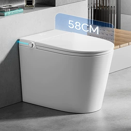 智能马桶;浴室柜;拖把盆