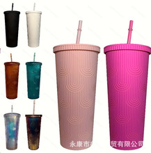 2023星巴同款双层塑料吸管杯榴莲仙人掌杯便携式鱼尾塑料杯710ml