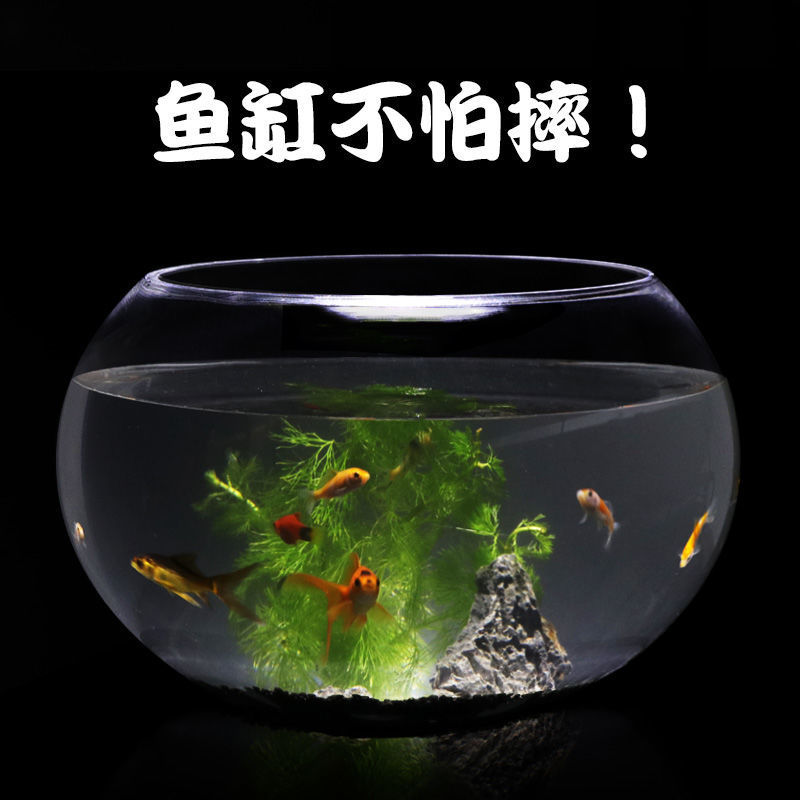 bb03d2ab-0006-4e6b-9777-e65f7b748f15.jpe