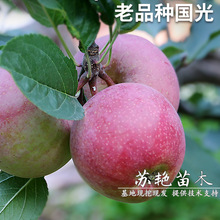 ��Ʒ�N�����O������޽��ͺ�����С�����O����ͥԺ���Ե��Թ�����