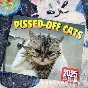 2025 Angry Cat Calendar Peed-Off Cats Calendar Office Desktop Decorative Wall Calendar