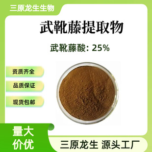 ��ѥ����ȡ����ѥ����25%  �׸����� ��Ҏ��S�ҬF؛���]500��/��
