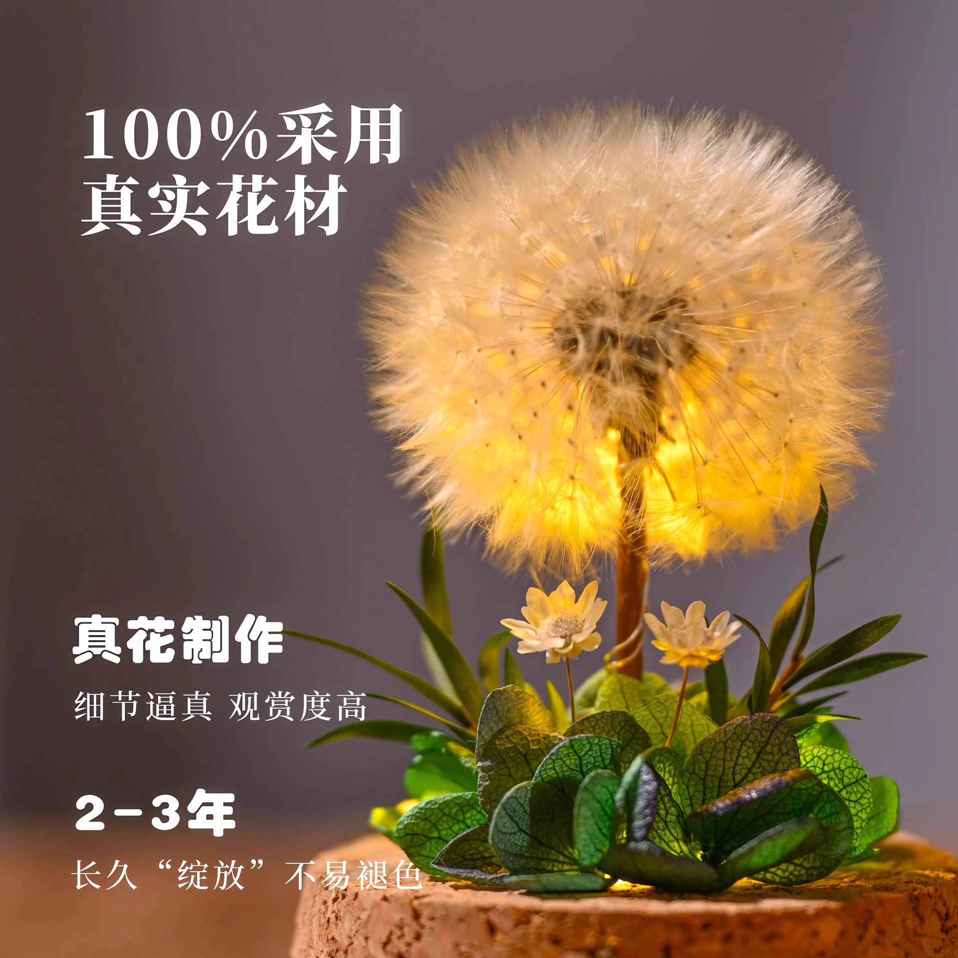 Flower Xu Nightlight Dandelion Immortal Dried Flowers Glass Cover Birthday Gift for Classmates Girlfriend Valentine's Day Mother