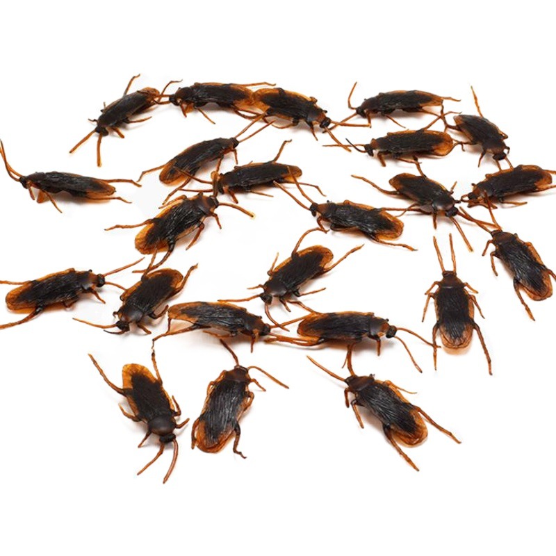 Halloween simulation cockroach April Fool's Day fake cockroach realistic cockroach whole person Xiaoqiang trick toy