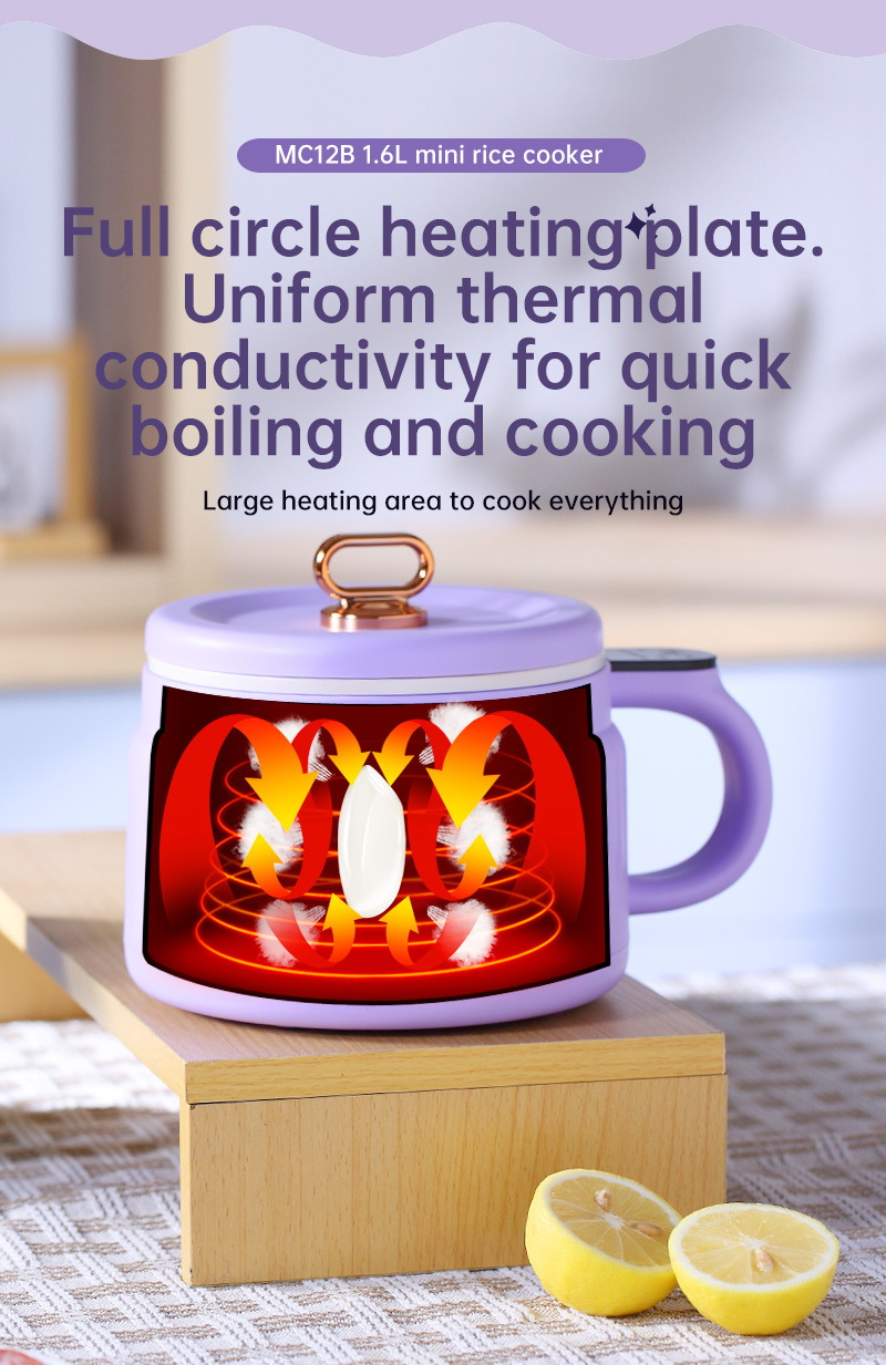 Cross-Border 110V Electric Small Multi-Functional Household Dormitory Instant Noodle Cooker US UK EU Plug_voghion.com