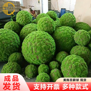 ����̦�\���픲���Ғ��b�ܛ�b������ˇ�[�O�����̦��ֲë��