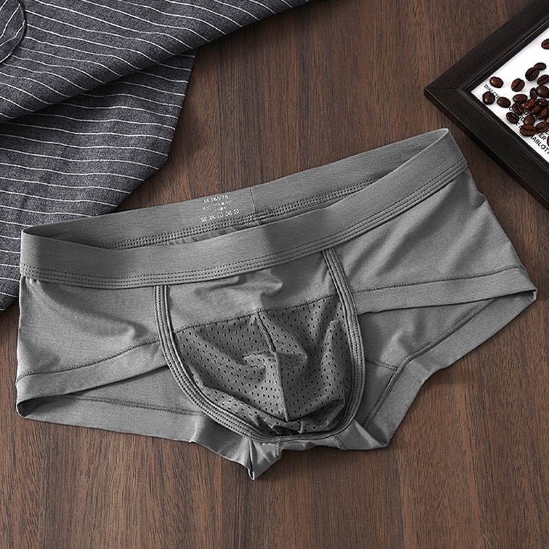 Men's Briefs Mesh Breathable Modal Comfortable Underwear Youth Briefs Sexy Youth Underwear
