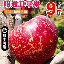 �����ͨ�г��O��ˮ�����r���䮔��10�︻ʿ�����O���t¶�Bͨ���l