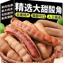 ���������خa���rҰ������_����������ʳ�ᶹ�ǹ���