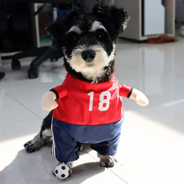 Cross-border new pet transformation clothes funny dog creative World…