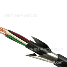 ������|KVVRPϵ����̖�������ˏS�Ҽӹ�