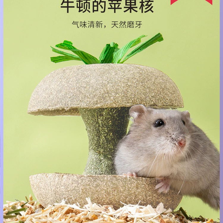 Carno Яблоко Ядро Хомяк Шлифовальная Палочка Закуски Маленький Золотой Медведь Формовочный Камень Игрушки Специальные Пейзажные Продукты