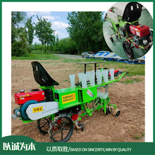 自走式秧苗菜移栽机 农用辣椒西红柿移苗机 两行大棚穴苗种植机