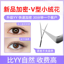 新款v型小绒花加密二叶草婴儿弯睫毛美睫店师专用超自然yy软毛c翘