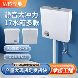 厂家现货供应蹲便器水箱 17号大按键蹲坑水箱 挂墙式厕所冲水箱