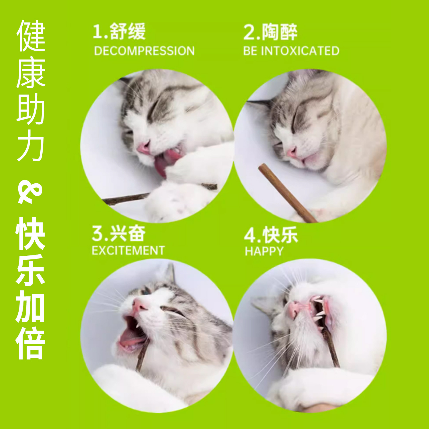 Madera natural polilla varilla de dientes para gatos ayuda a eliminar el vello para aliviar la borracha de los dientes limpios para gatos pequeños dientes de dientes para mascotas fabricantes de bocadillos al por mayor