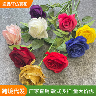 ������^õ�廨 ��Y���b��û��ŵ���·���ٻ� DIY�ֹ���