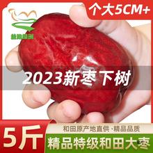 2023新货和田大枣子新鲜礼盒5斤红枣新疆产官方旗舰店