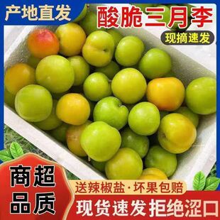 ���ڏV����Ұ����������������������ЋDˮ������ժ�l�ǏV��