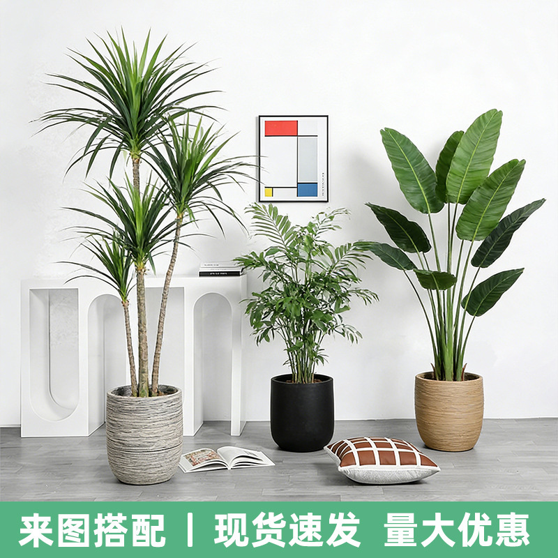 Large Floor-Standing Artificial Plant Traveler Banana Turtle Back Bird of Paradise Fake Green Plant Potted Indoor and Outdoor Landscaping Decorative Bonsai Large Floor-Standing Artificial Plant Traveler Banana Turtle Back Bird of Paradise Fake Green Plant Potted Indoor and Outdoor Landscaping Decorative Bonsai
