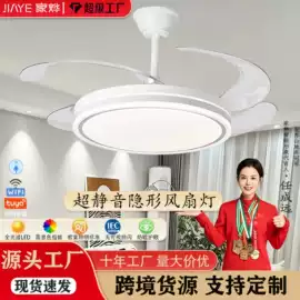 风扇灯;工业风扇
