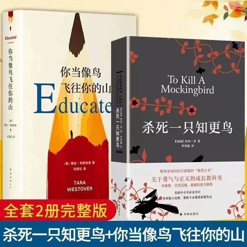 Оригинальная книга «Ты должен лететь, как птица, чтобы добраться до гор», — это китайская версия вдохновляющего учебника о мужестве и справедливости.