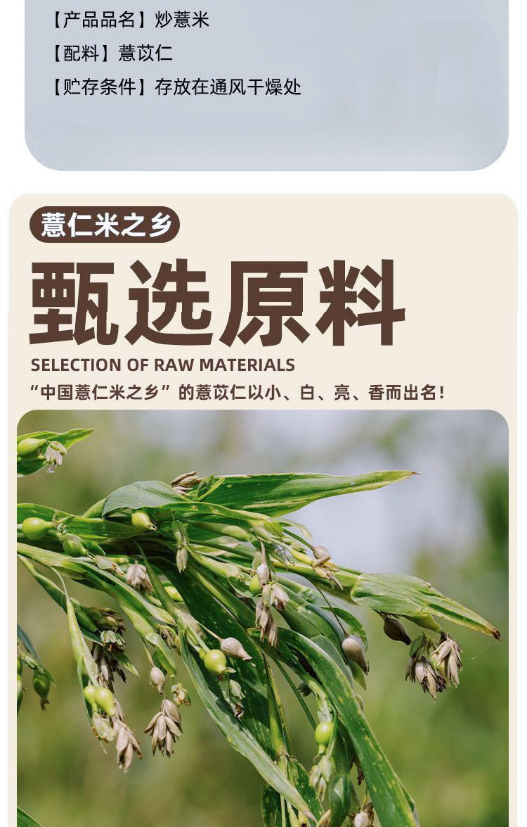 Stir-Fried Coix Seed Yi Yi Ren 100g Bag Dried Job's Tears for Tea Soup and Congee overview