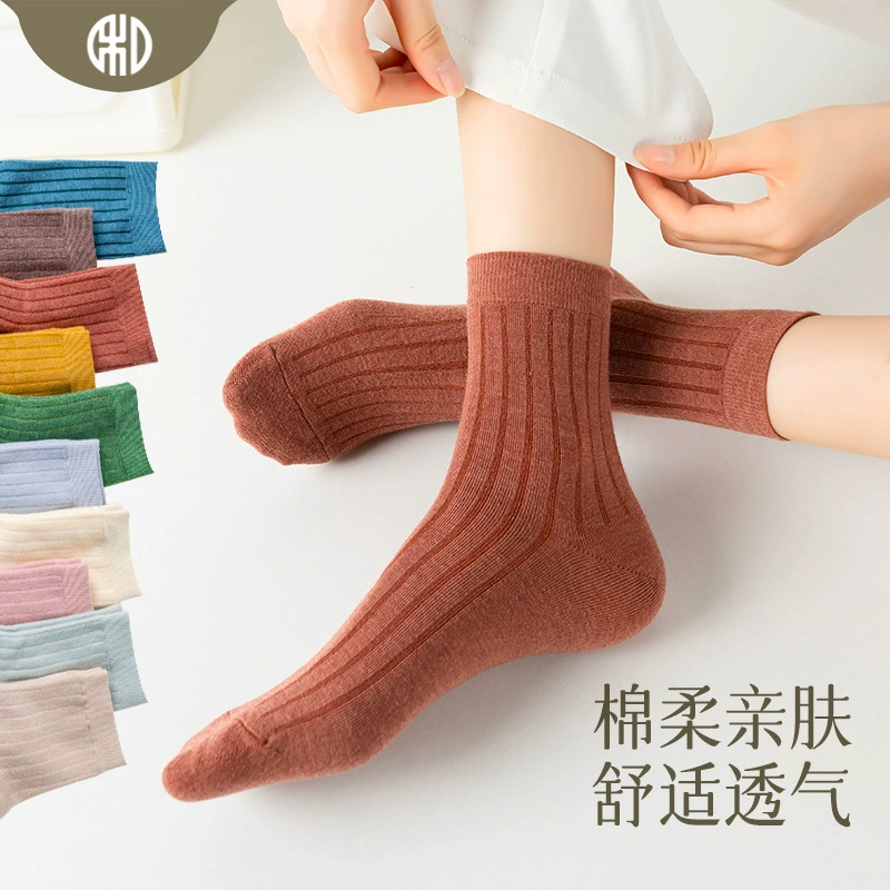 Демисезонные цветные дышащие гольфы для отдыха, средняя длина, впитывают пот и запах