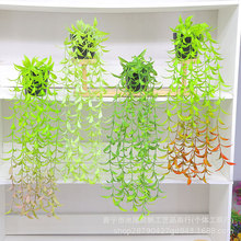 ���R�d����Ғ�ֲ�� �Gɫ��������������҃ȑ����b����ϻ����l