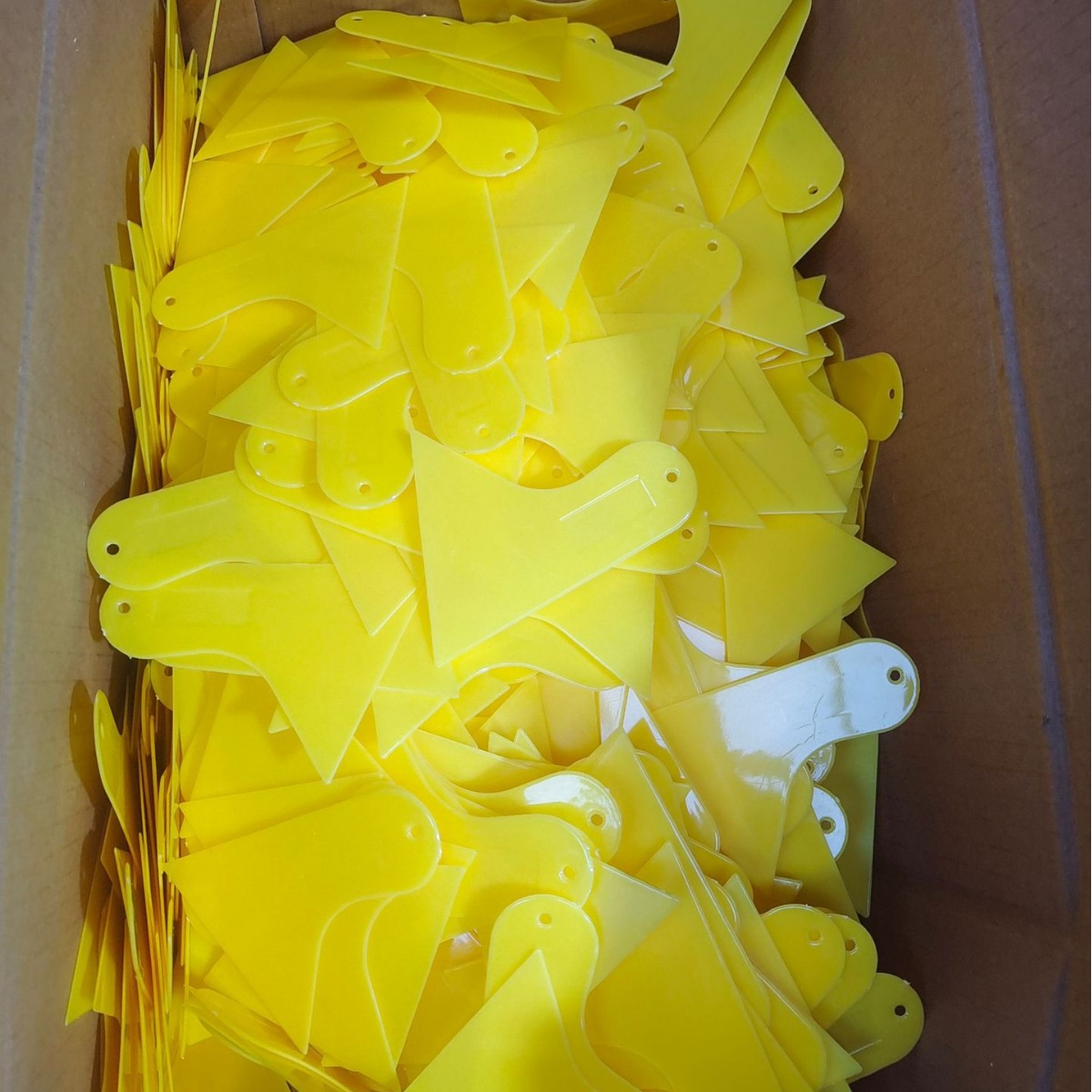 2024-06-27 13:55:11.jpg