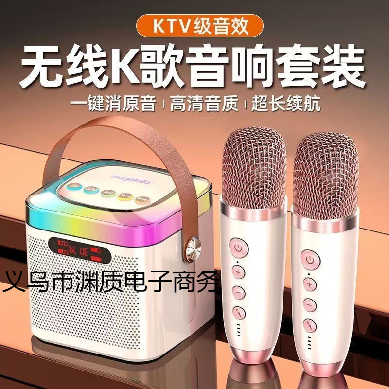 Wireless Bluetooth Audio Mini Handheld Microphone Singing and Karaoke All-In-One Kidsren's Home Ktv Audio Set