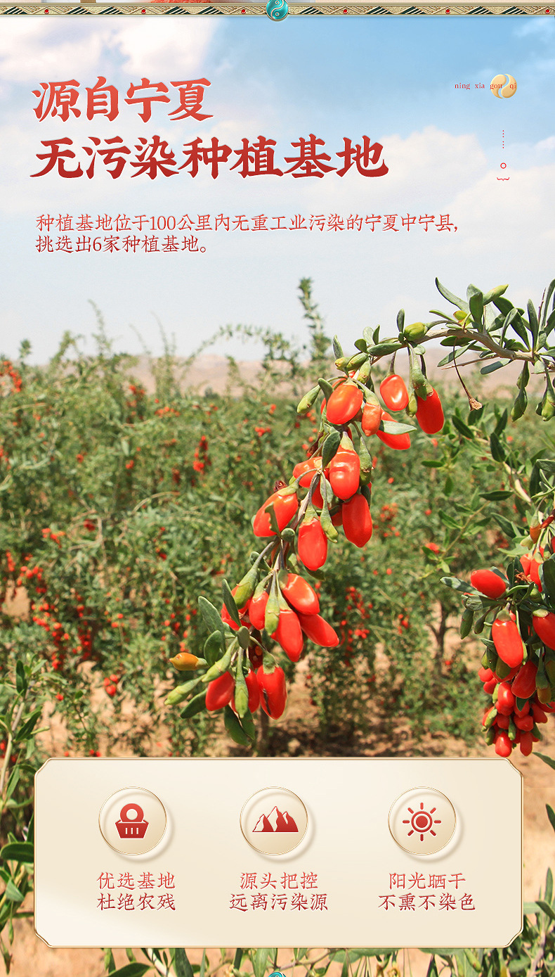 Dried Goji Berries Ningxia Red Goji 400g Ready to Use Sealed Jar Goji Berry quality and texture