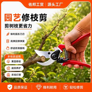 �羳�����SK5������֦��@����֦��@ˇ���������֦ժ������