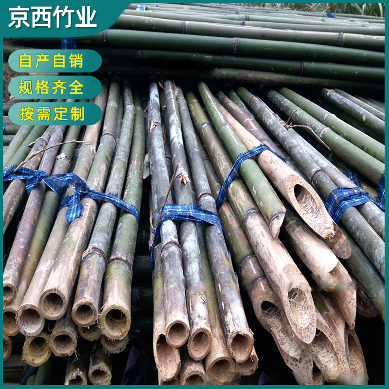 4米竹杆批发 农用竹杆果园竹杆防寒竹杆 蔬菜竹竿