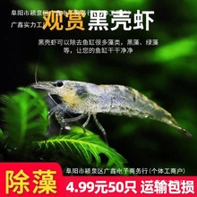 �ښ��r�r���^�p�r�����~��С�r��ˮ�ͻ���ˮ̖�坍�O��ѻ��r����